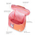 Jujube: Miffy Flower Fields - Fuel Cell Jujube: Miffy Flower Fields - Fuel Cell