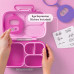 Omielife: OmieBox® Rosy Pink (coming Mid-August) Omielife: OmieBox® Rosy Pink (coming Mid-August)