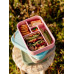 The Zero Waste People: Bento Lunchbox - Paddlepop